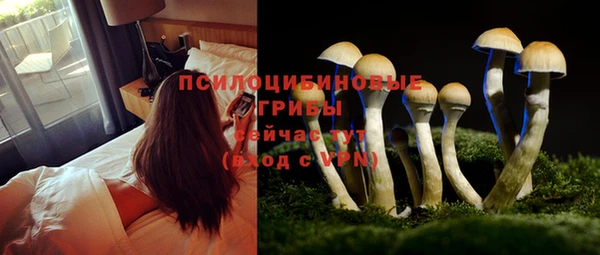 ешки Липки