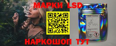 стаф Будённовск