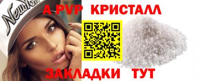 стаф Будённовск