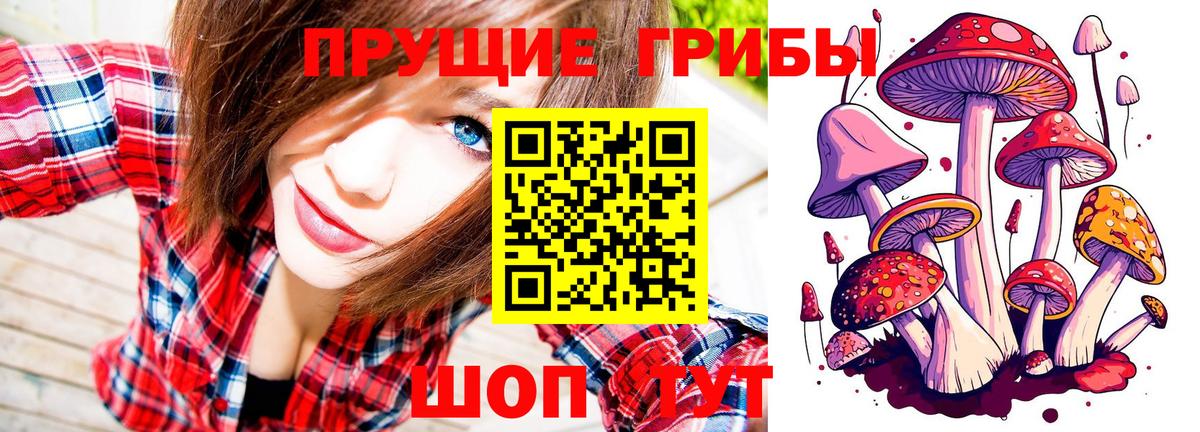 Псилоцибиновые грибы прущие грибы Елец