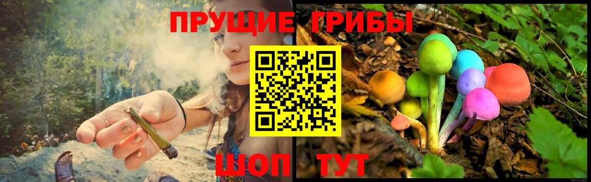 Галлюциногенные грибы ЛСД  Вход с VPN  Елец 